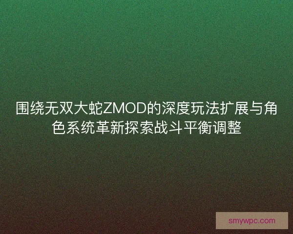 围绕无双大蛇ZMOD的深度玩法扩展与角色系统革新探索战斗平衡调整